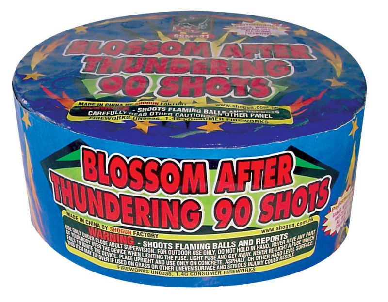 BLOSSOM AFTER THUNDERING 90 SHOTS